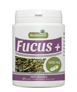 Renaissance Focus 100 gélules